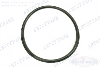 Кольцо уплотнительное бензонасоса ГАЗ 3110, 3302, 2217 Аналог